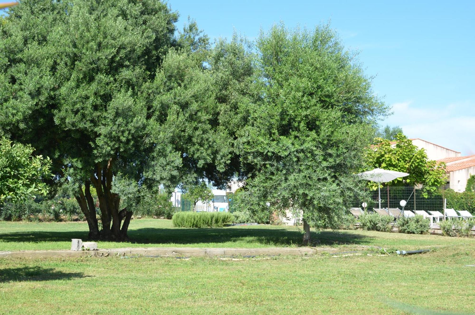 Villa Teti - Sicilia Campofelice Di Roccella Exterior photo